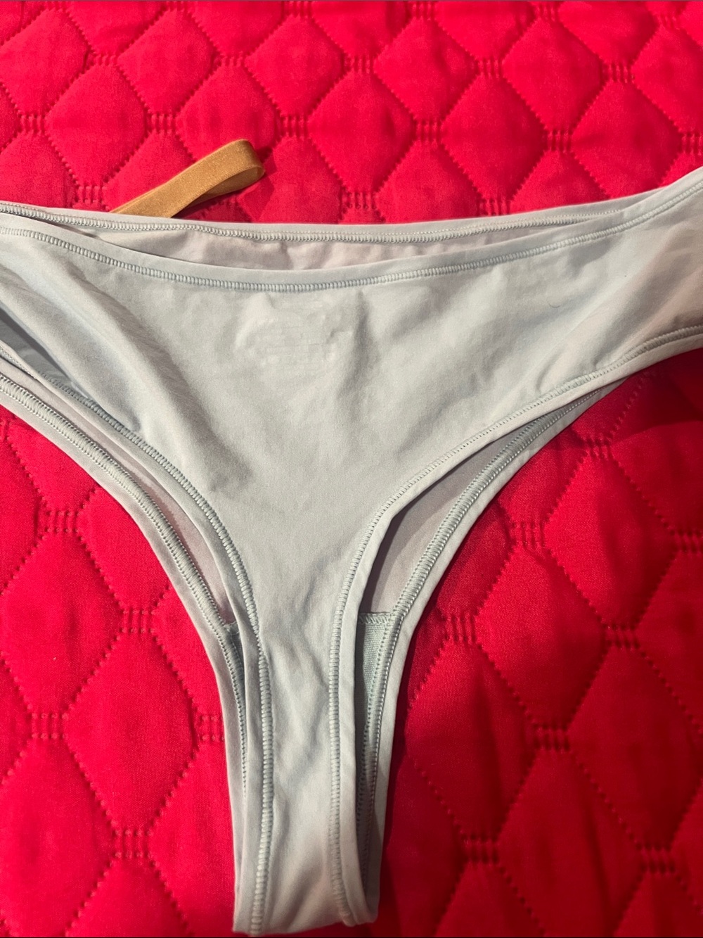SKIMS Seamless Bikini Briefs in Light Blue and Tan - Picture 5 of 6